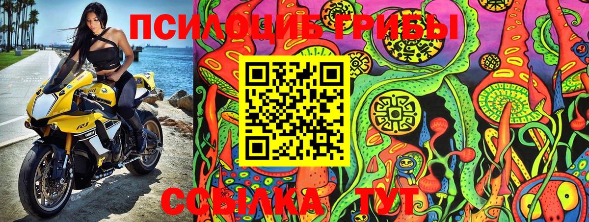 Псилоцибиновые грибы Psilocybe Каспийск