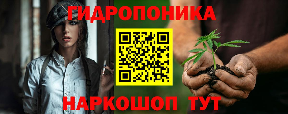 МАРИХУАНА конопля Каспийск