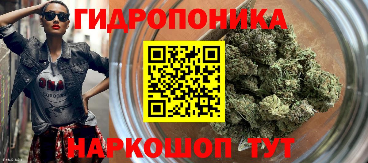 Шишки марихуана OG Kush  Канабис Bruce Banner  Бошки Шишки семена  Каспийск  Вход с VPN 